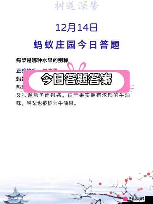 蚂蚁庄园12月14日每日一题揭晓，全面解析入住景区酒店必备安全知识